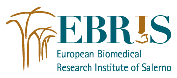 Fondazione EBRIS, European Biomedical Research Institute of Salerno logo